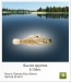 Марк Ганиев фотография #19
