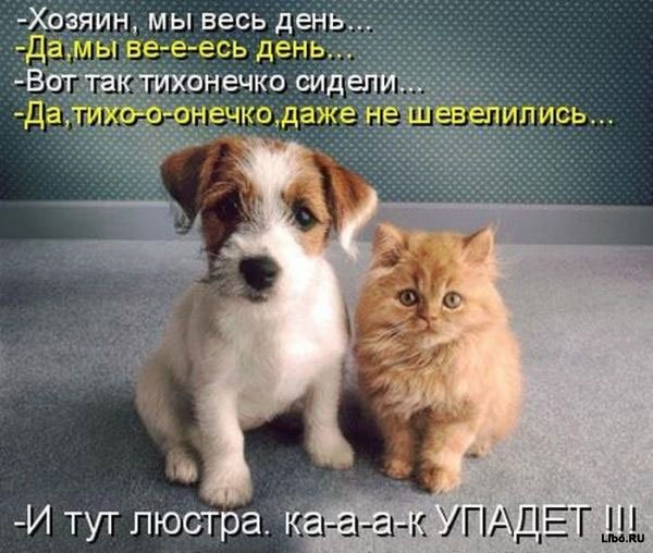 №200, Ксюша Жолудева, Санкт-Петербург №200, Ксюша Жолудева, Санкт-Петербург