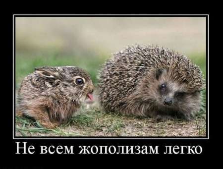 №2, Сергей Гречаник №2, Сергей Гречаник