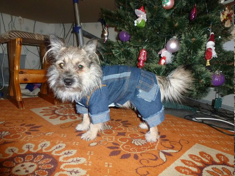 Людмила Лупа Анатольевна | Москва