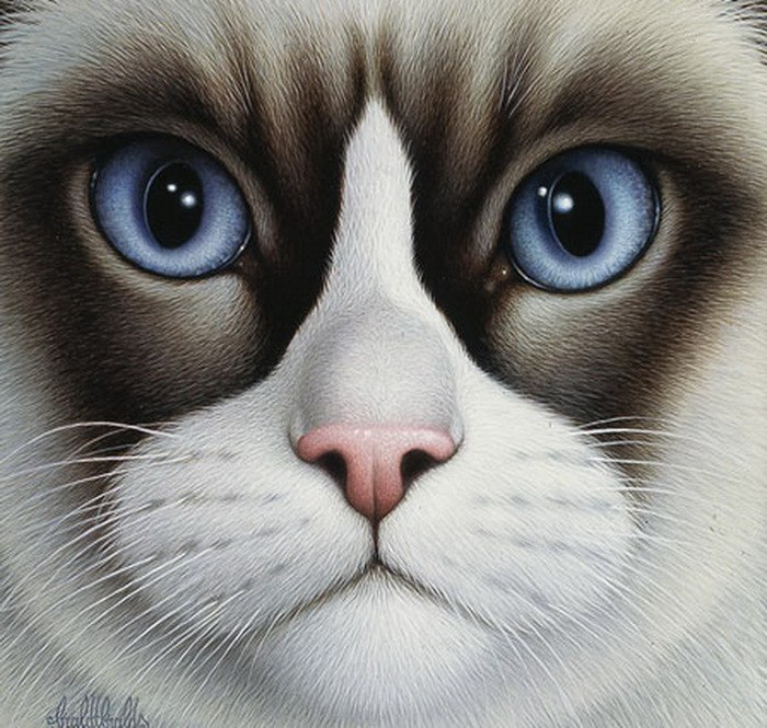 Сергей Слугин | Санкт-Петербург