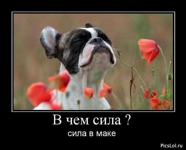№22, Анна Испирьян-Духова, 5.8.1991 №22, Анна Испирьян-Духова, 5.8.1991