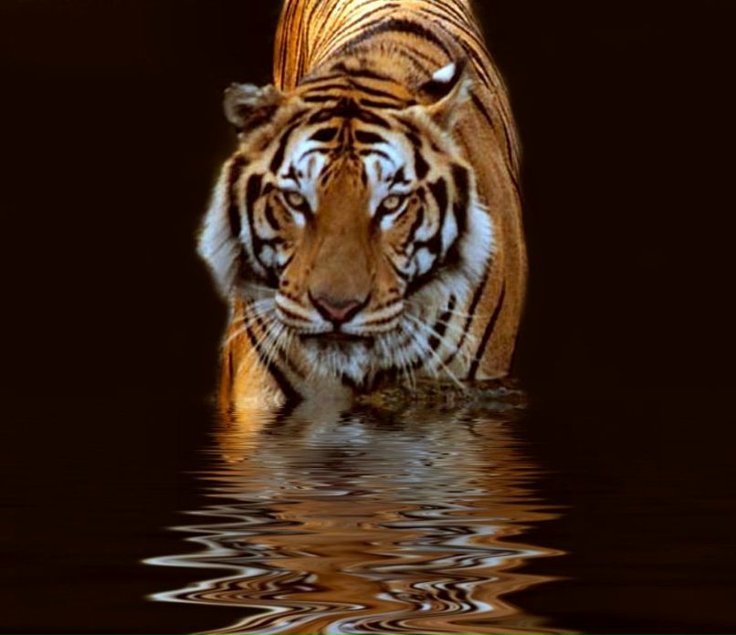 Костя Zero | Хабаровск