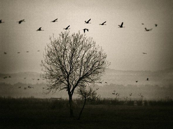 Polina Kalashnikova (Lapteva) | Иркутск