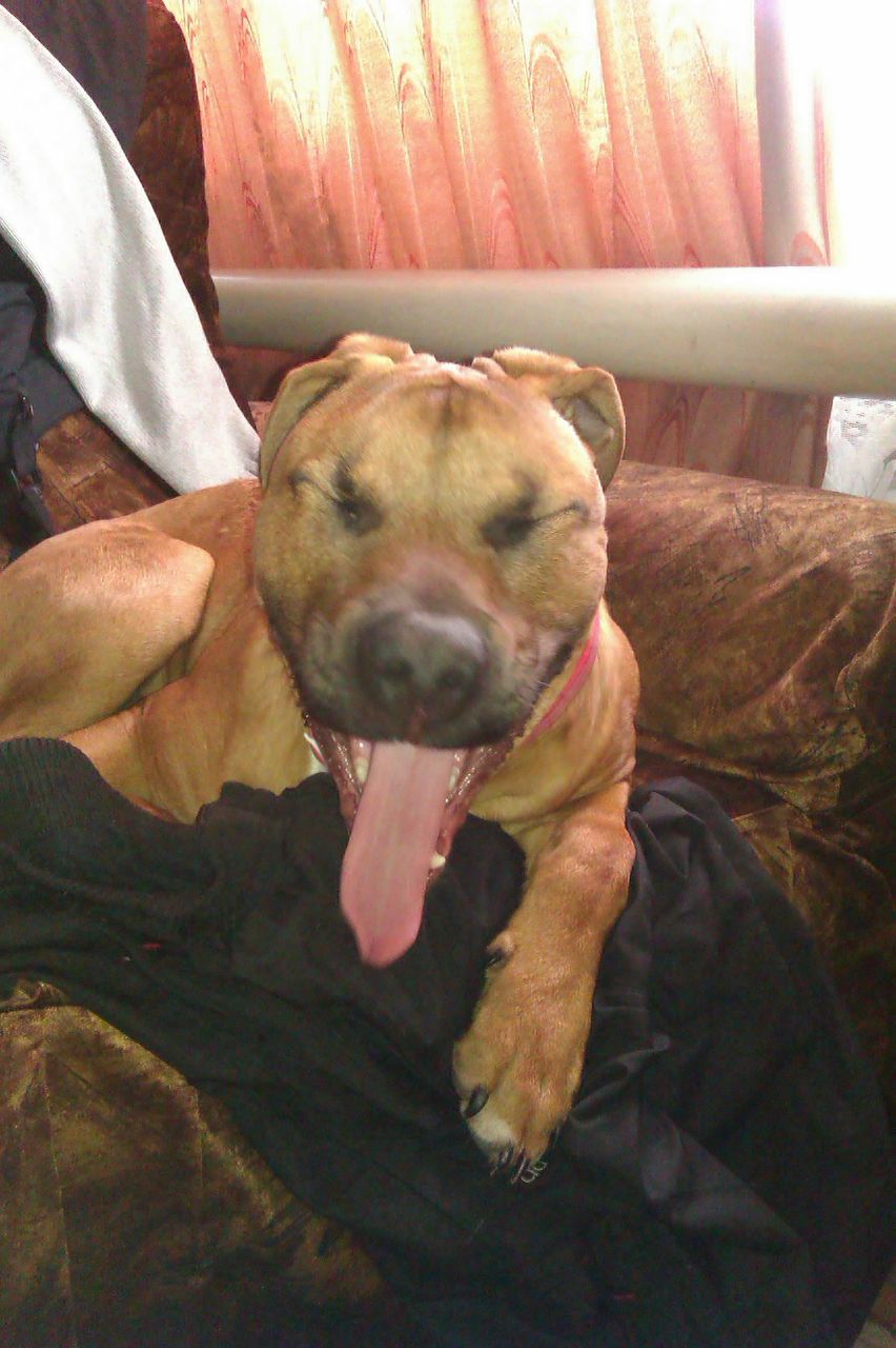 Керилл Богданов Олегович | Бердск