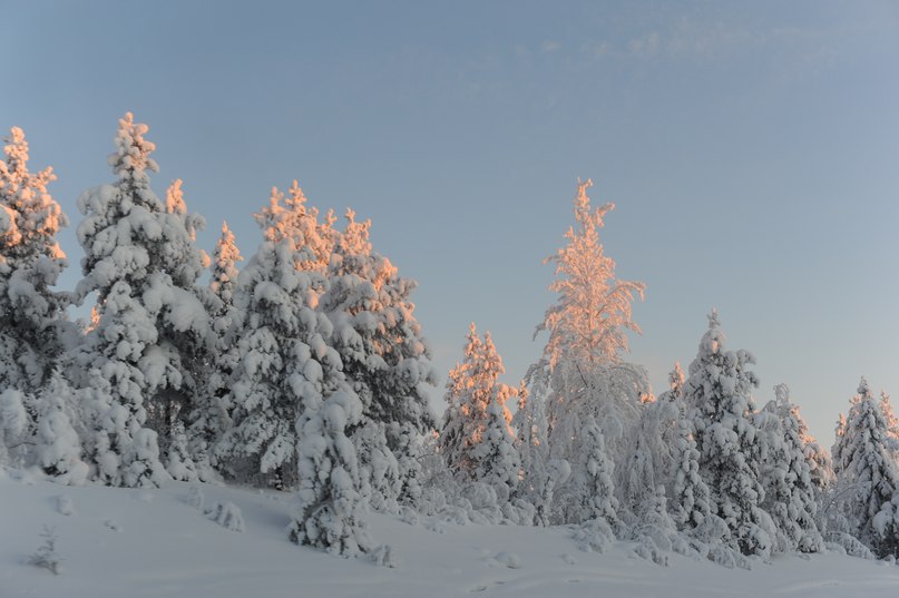 Вова Галайко | Москва