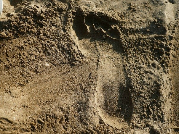 Василий Богатов | 