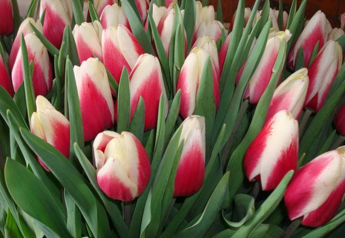 Виталий Анисимов | Москва