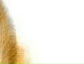 Марина Мельник | Киев