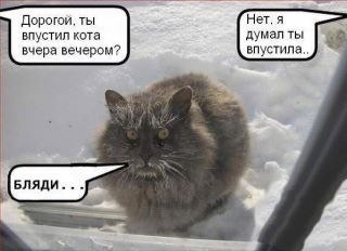 Диман Наумов | Нижний Новгород