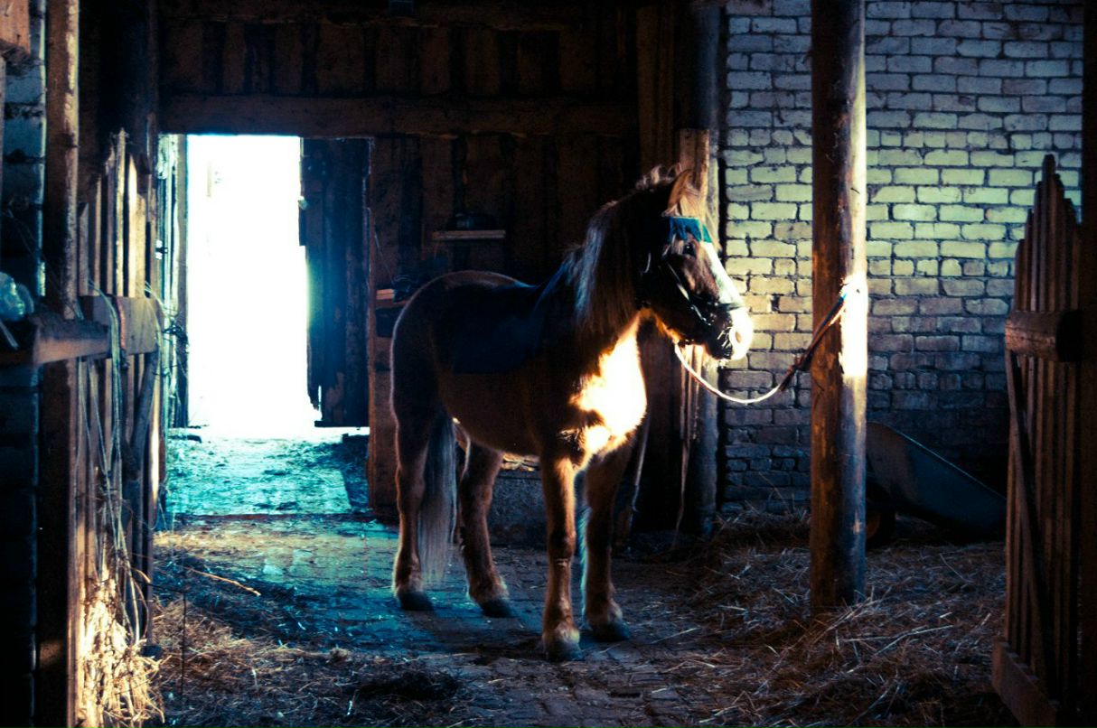 Алексей Волегов ♥ | Пермь