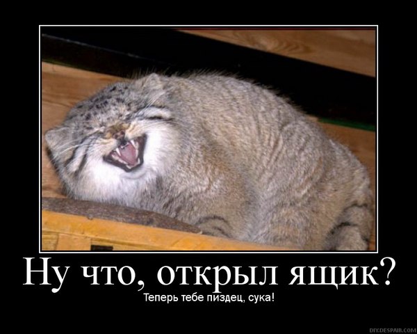 Сергей Кудряшов Владимирович | Красноярск