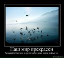 Фотография Олег Малый