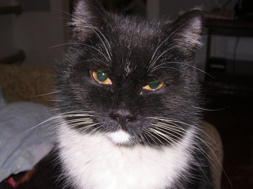 Сергей Горшев | Новосибирск