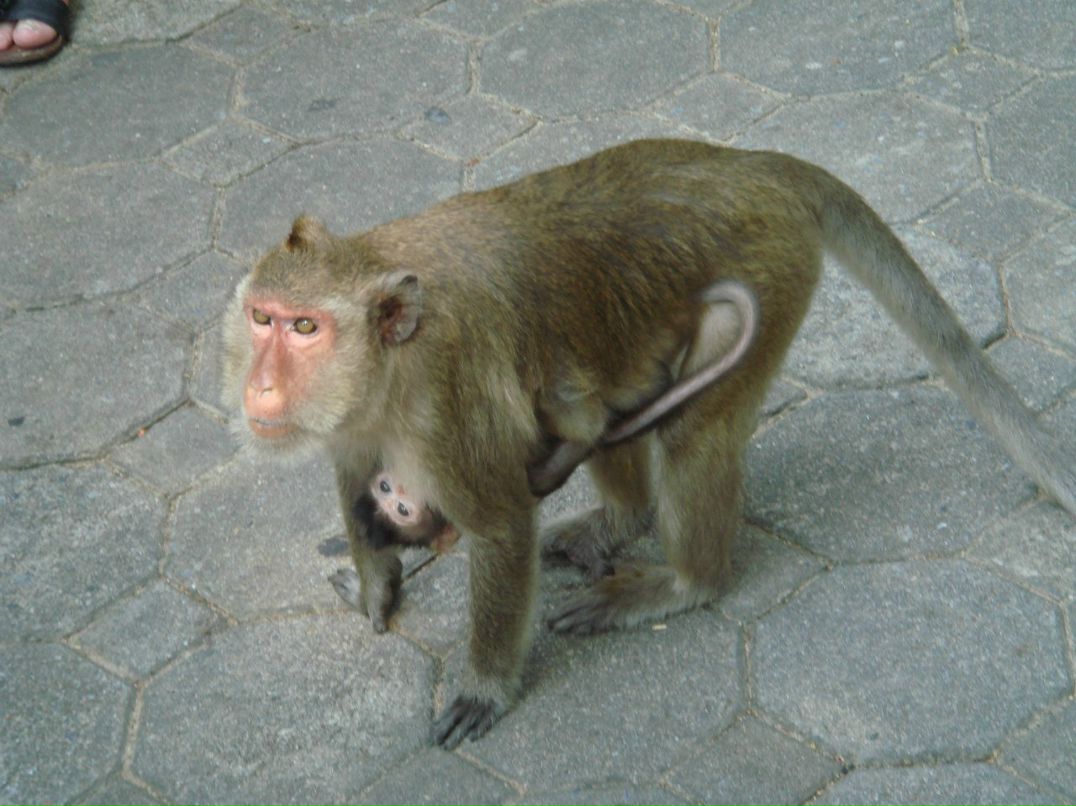Юрий Королев | Уфа