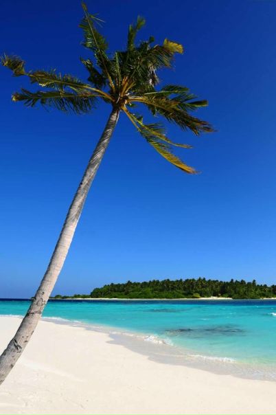 №87, Алена Парфенова №87, Алена Парфенова