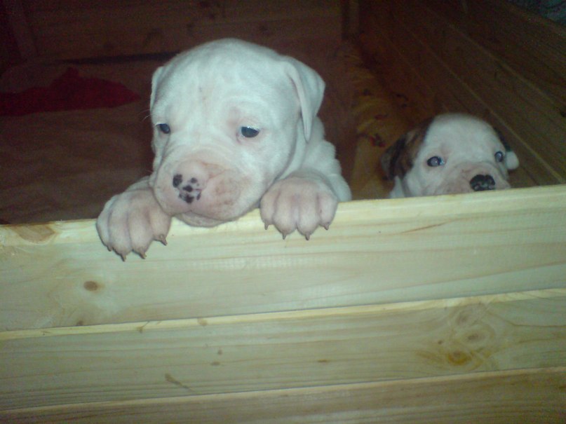 Жека Раджабов | Киев