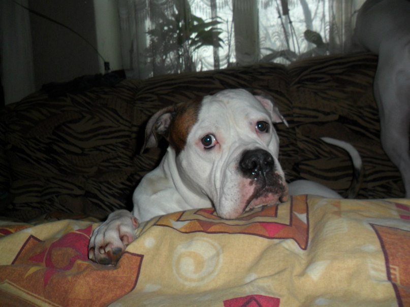 Жека Раджабов | Киев