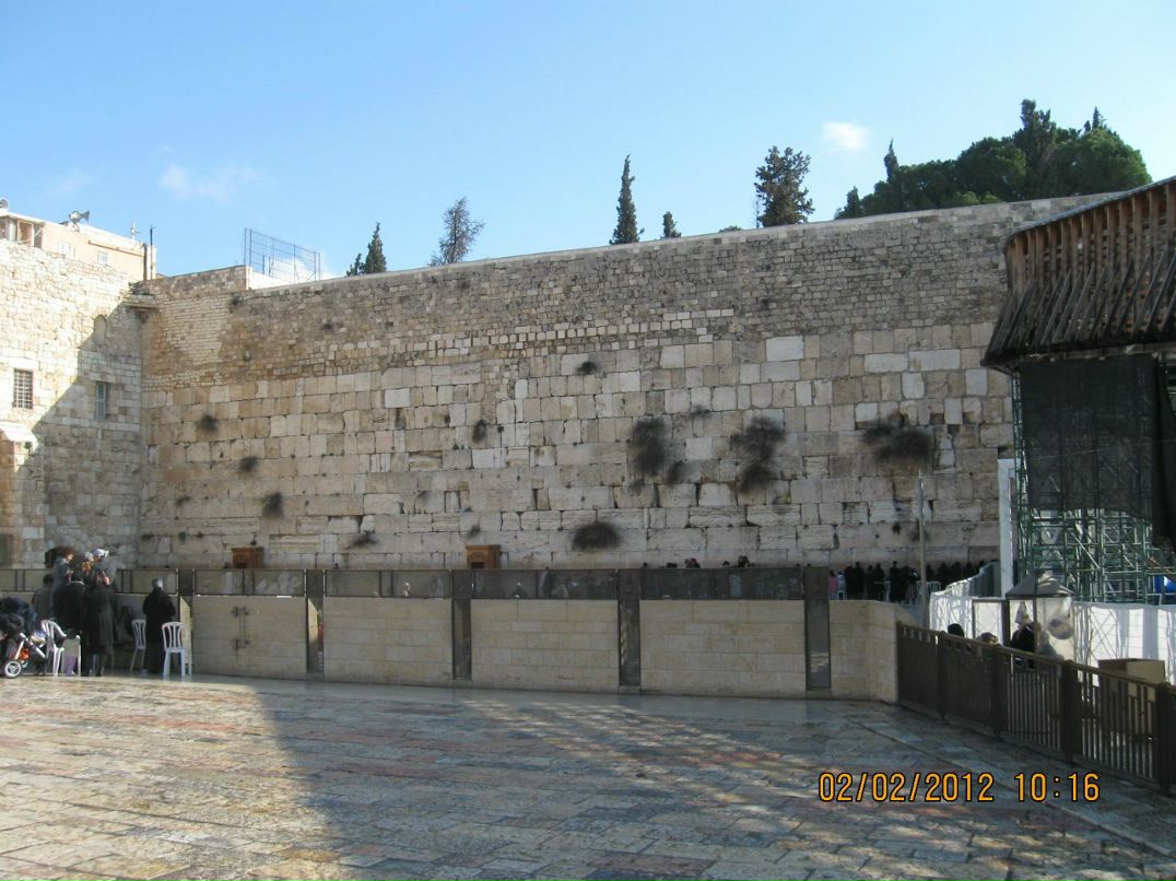 Виктория Сабирзянова | Санкт-Петербург