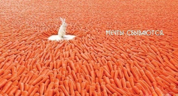 Андрей Андреев 