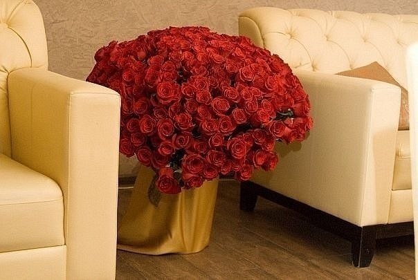 Любомира Гнідець (**,) | Львов