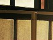 Алёна Алексеева | Новосокольники