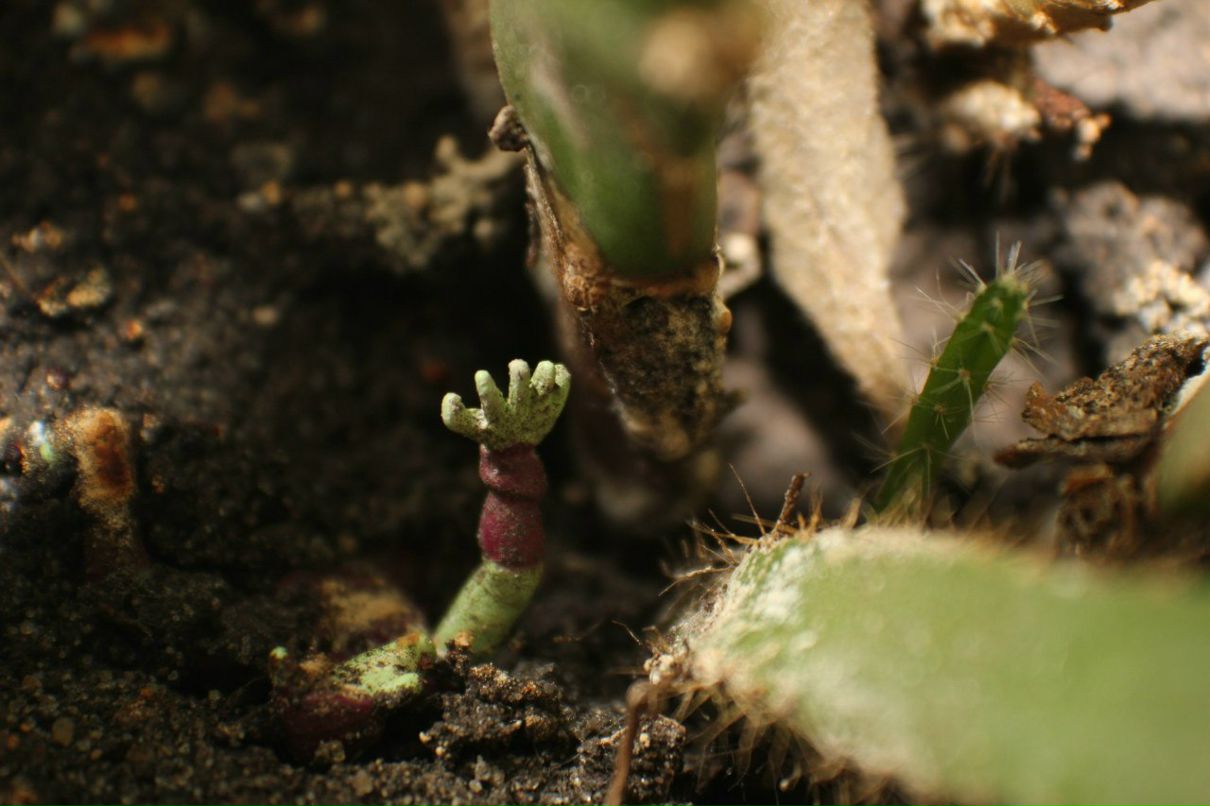 Стас Мовшович | Москва