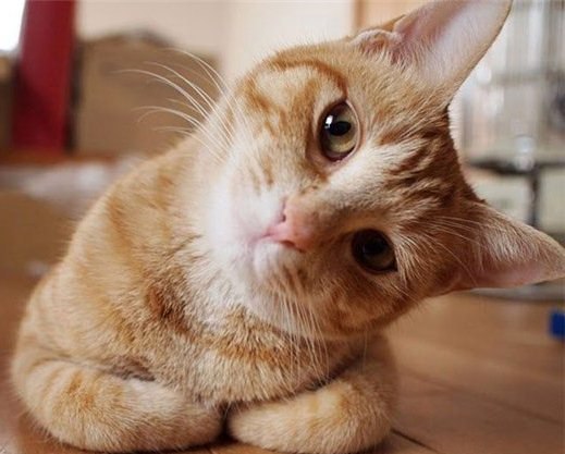 Елена Филаретова RaInBoW | Одесса