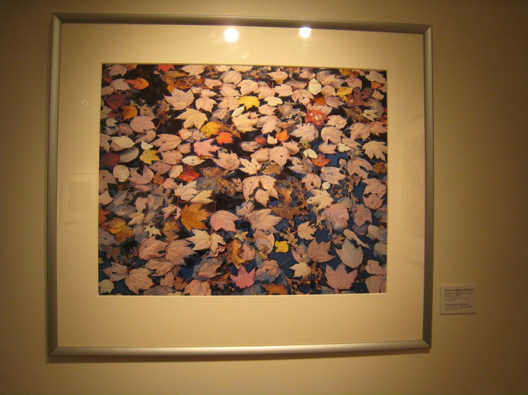 Ольга Котт | Москва