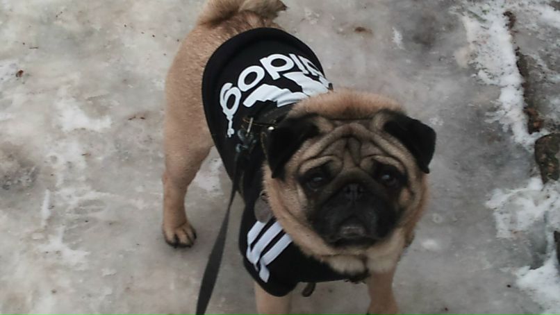 Наталия Лазарева | Киев