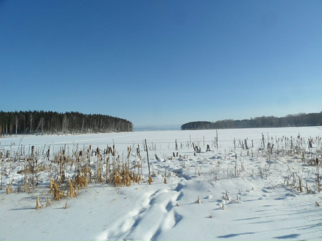 Андрей Серов | Челябинск