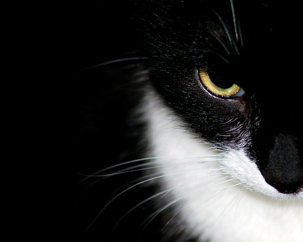 Константин Иванов | Москва