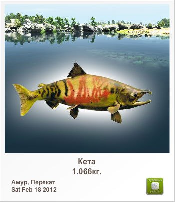 Олег Андрущенко | Киев