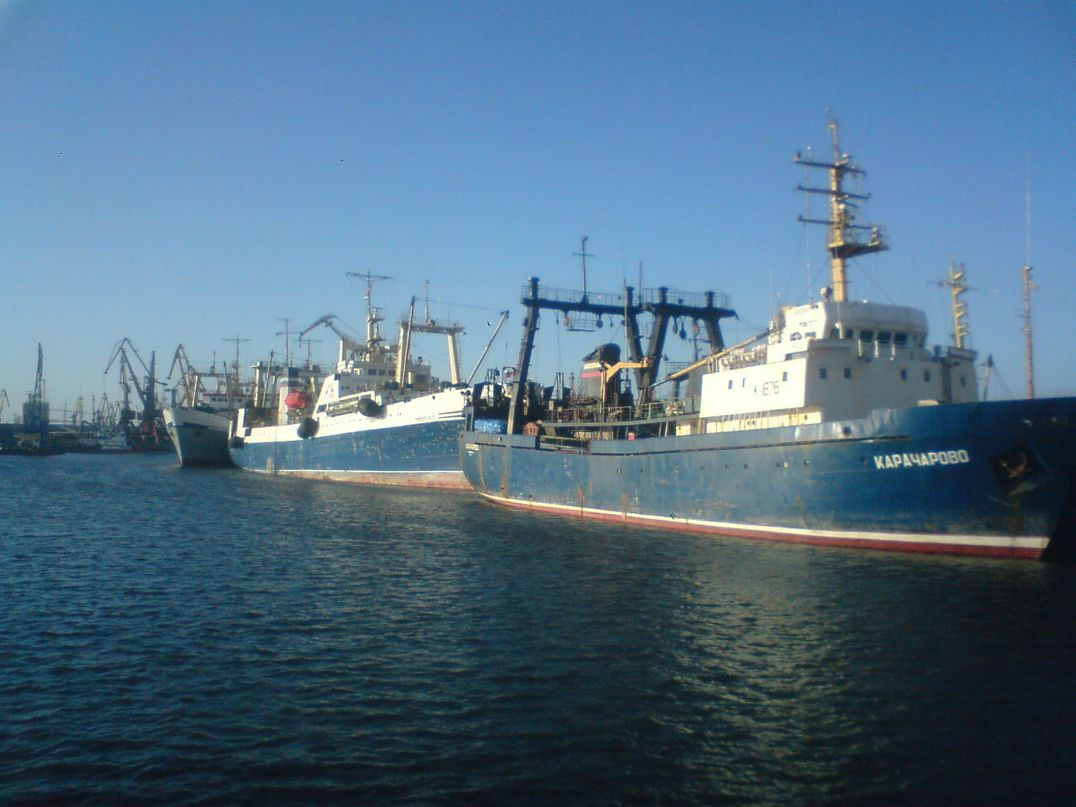 Денис Фокин | Вязьма