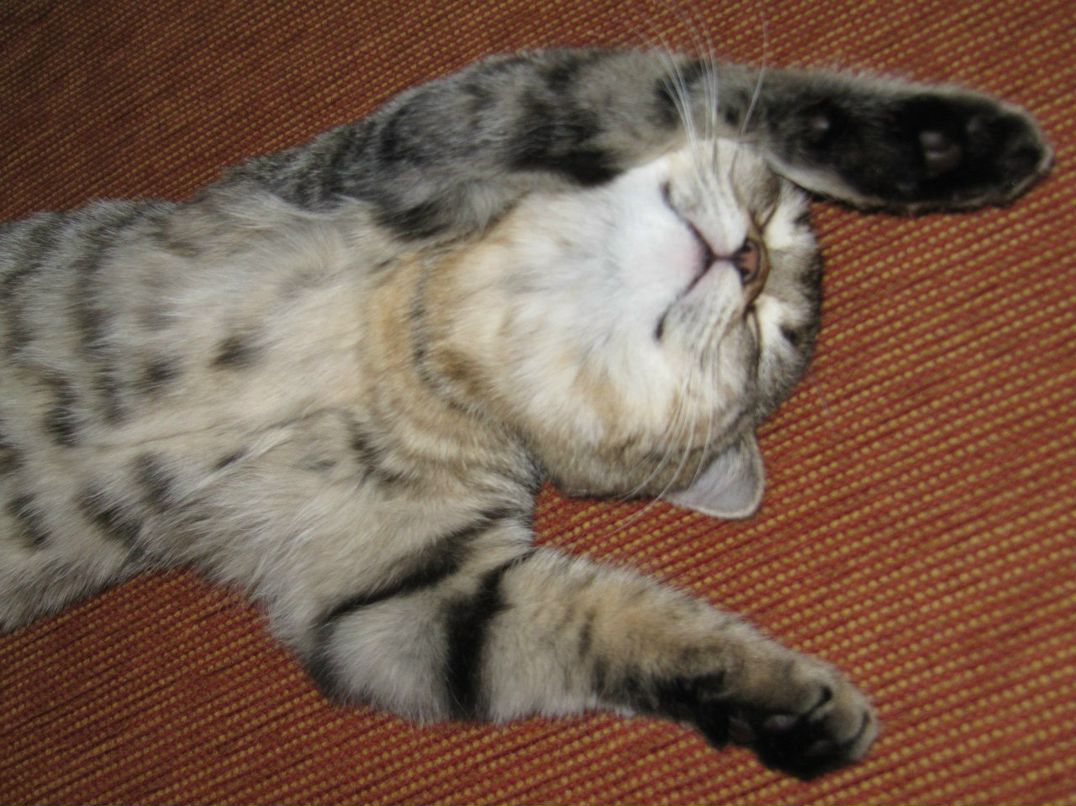 Вероника Губанова | Новокузнецк