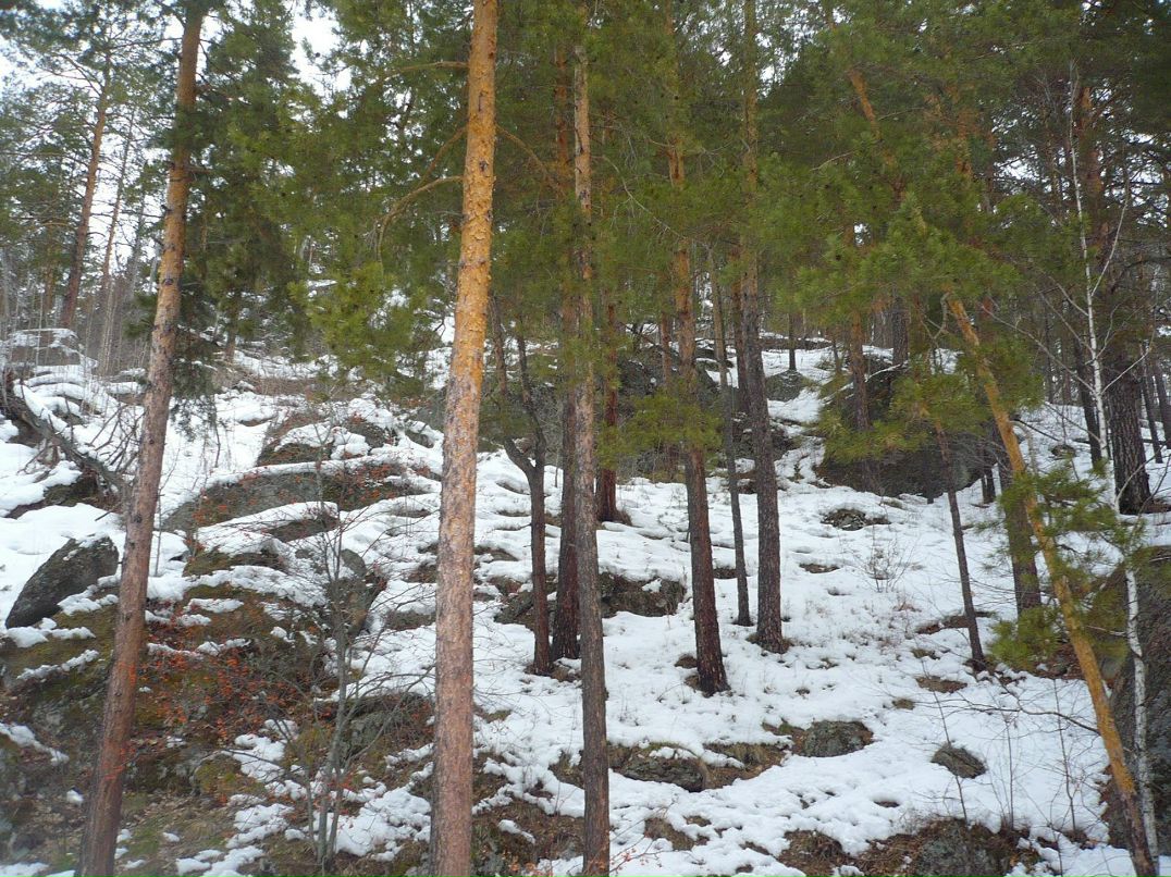 Сергей Рябухин | Калининград