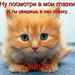 Татьяна Леонова фотография #29 (источник - https://vk.com/id161905622)