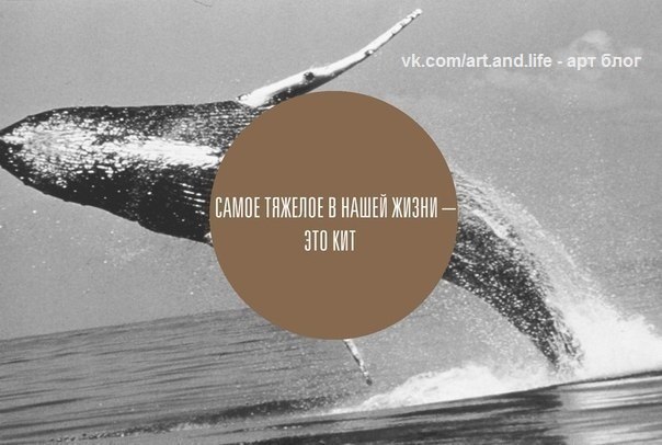 Вадим Самойлов | Москва