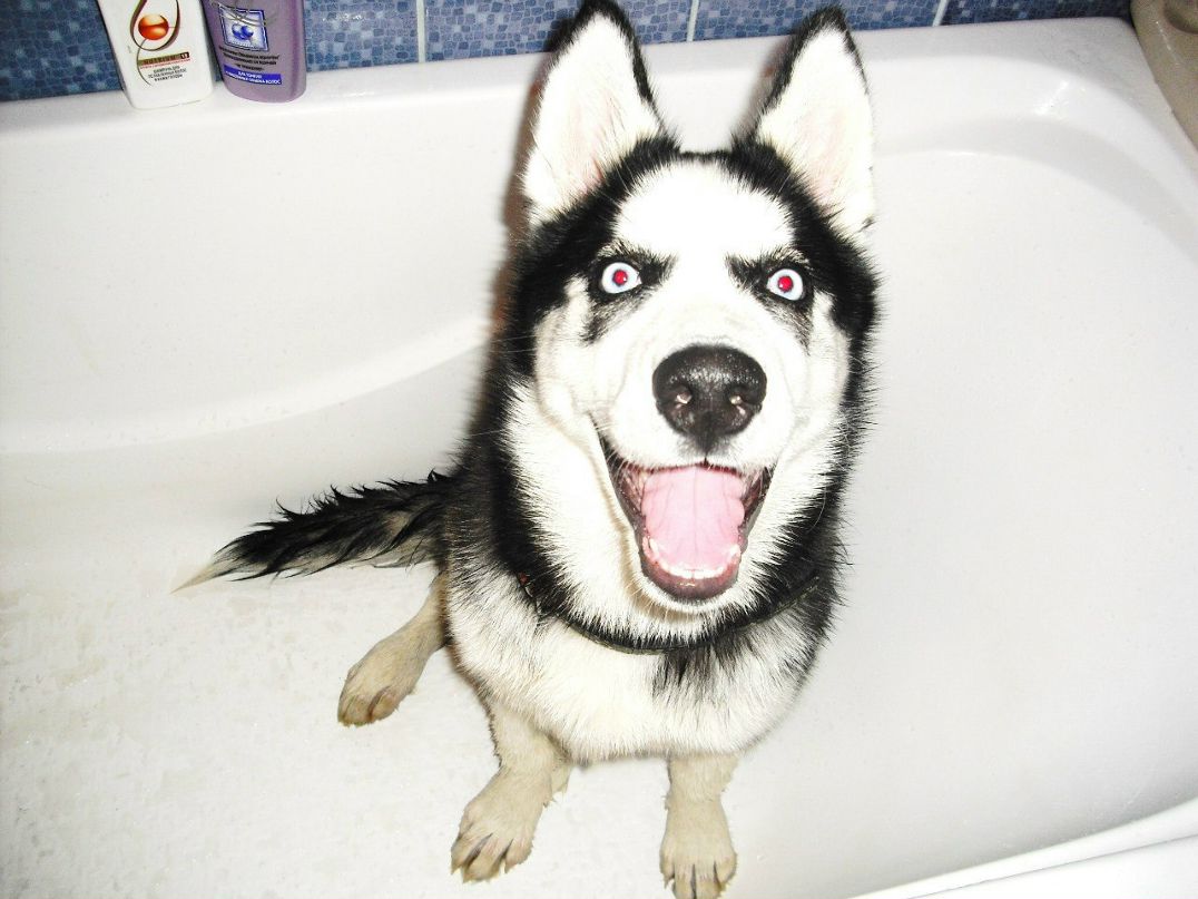 Игорь Харченко | Нижневартовск