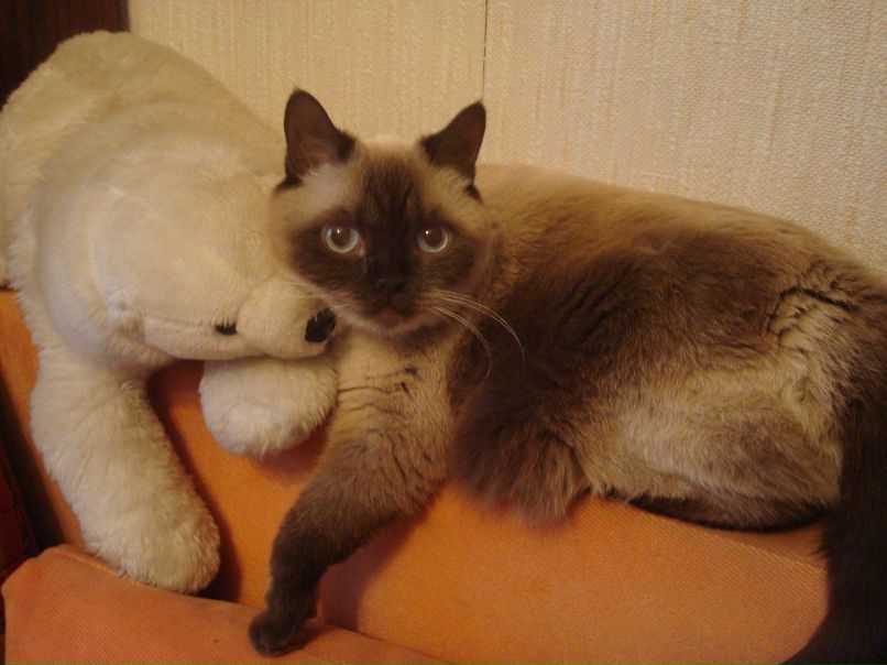 Лариса Дмитрук | Саратов