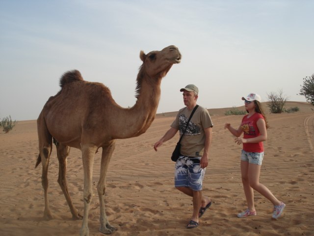 Александр Ермаков | Киев