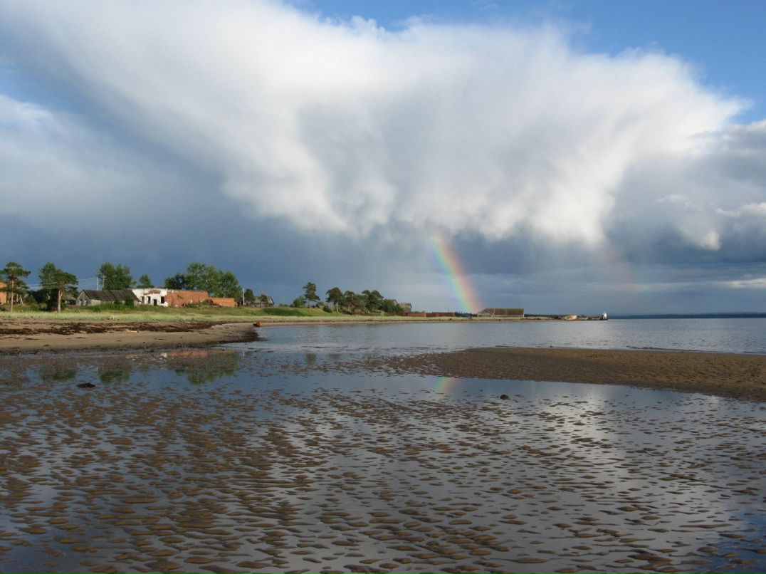 Василий Широкий | Санкт-Петербург