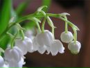 №5 Ольга Фатеева : профиль, фото, статус - ВКонтакте