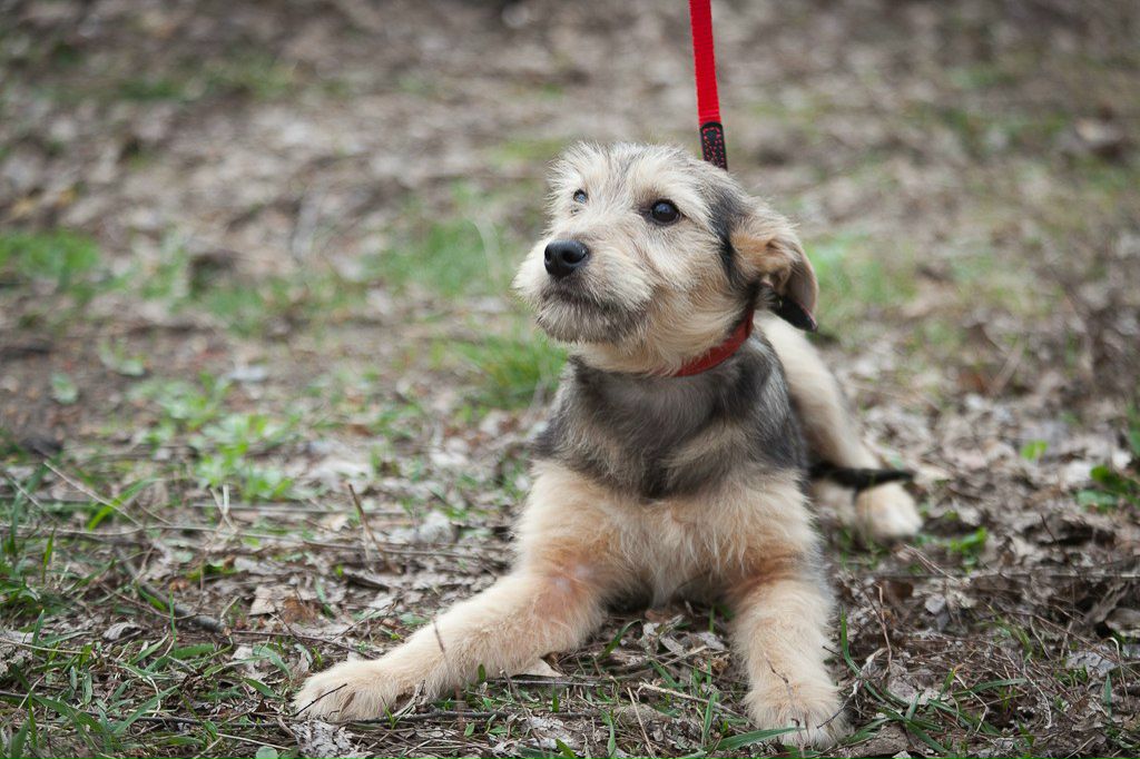 Татьяна Кривенко | Киев