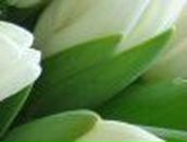 Кристина Петраш | Запорожье