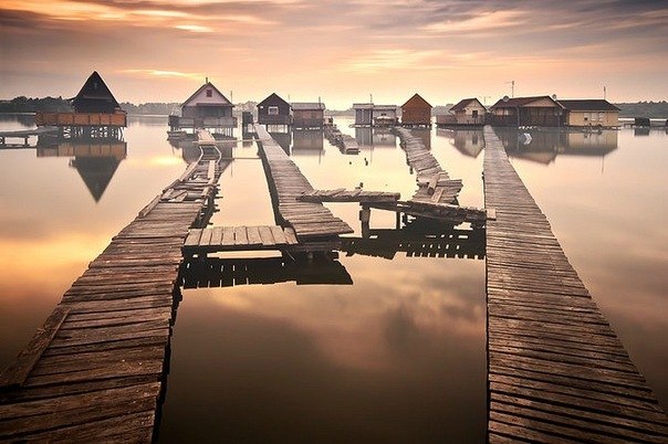 Алина Богданова | 