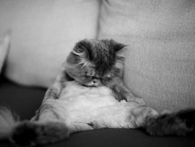 №21, Иракли Цуцхубая, Санкт-Петербург №21, Иракли Цуцхубая, Санкт-Петербург