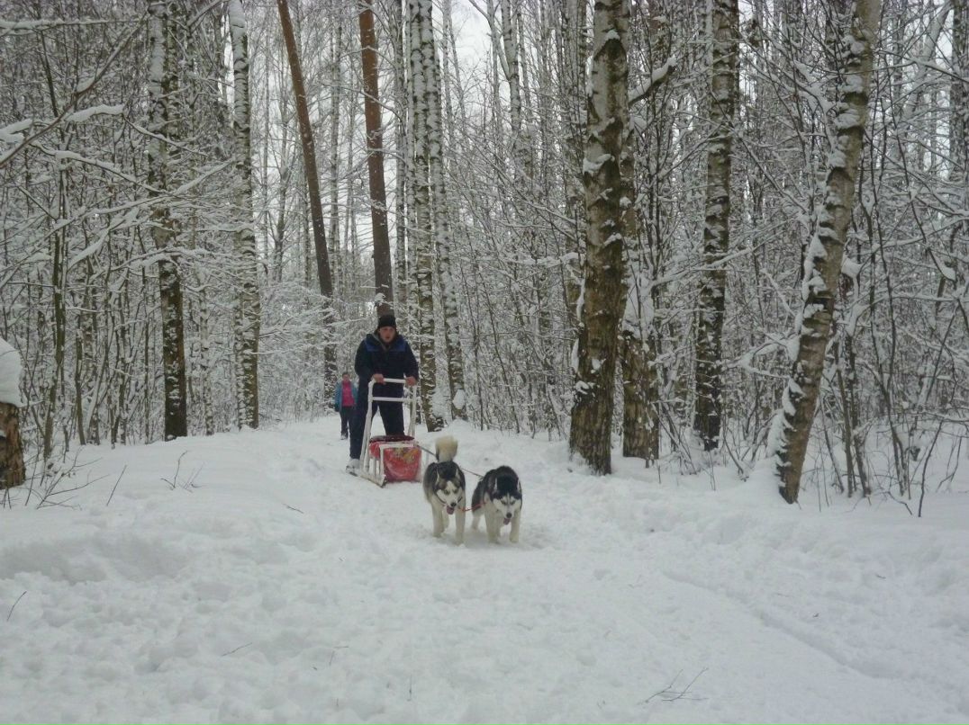 Анна Романенкова | Ногинск
