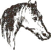 №97, Іванка Попович, Кобеляки №97, Іванка Попович, Кобеляки