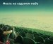 Татьянка Харьковская фотография #35